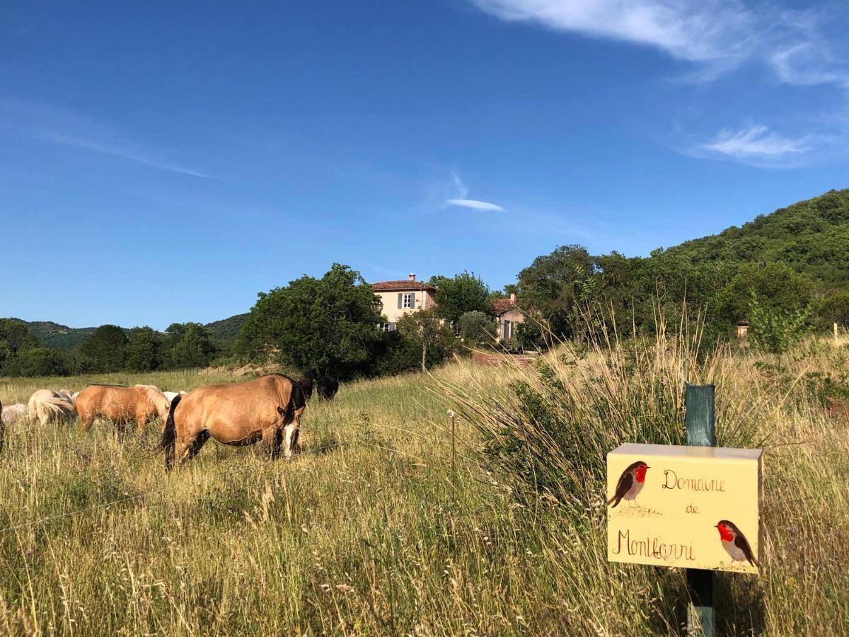 Domaine De Montbarri Bed & Breakfast La Tour-sur-Orb Eksteriør bilde